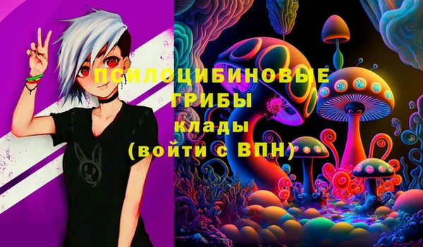 шишки Каменск-Шахтинский