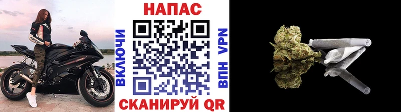 Шишки марихуана тримм  Купить закладки  Белорецк 